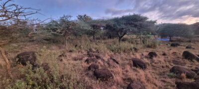 Gongali Village Camp (Home Stay)